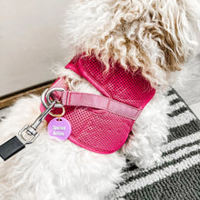 Load image into Gallery viewer, Ellie Girl Dog Collection Pet Tag and Keychain Set